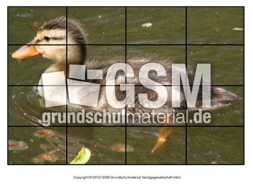 Puzzle-Stockente-7.pdf